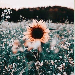 NO LONGER FOR SALE!!